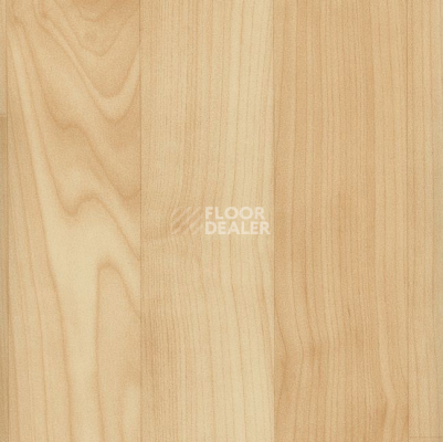 Линолеум GraboSport Mega Wood 2000_378_275 фото 1 | FLOORDEALER